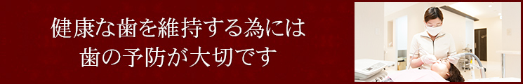 健康な歯を維持する為には 歯の予防が大切です