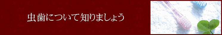 虫歯について知りましょう