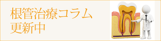 根管治療コラム更新中