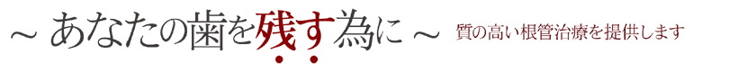 ~ あなたの歯を残す為に ~質の高い根管治療をご提供いたします