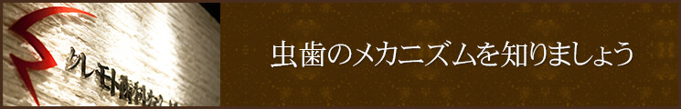 虫歯のメカニズムを知りましょう