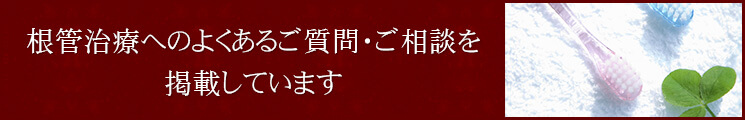 根管治療へのよくあるご質問・ご相談を掲載しています