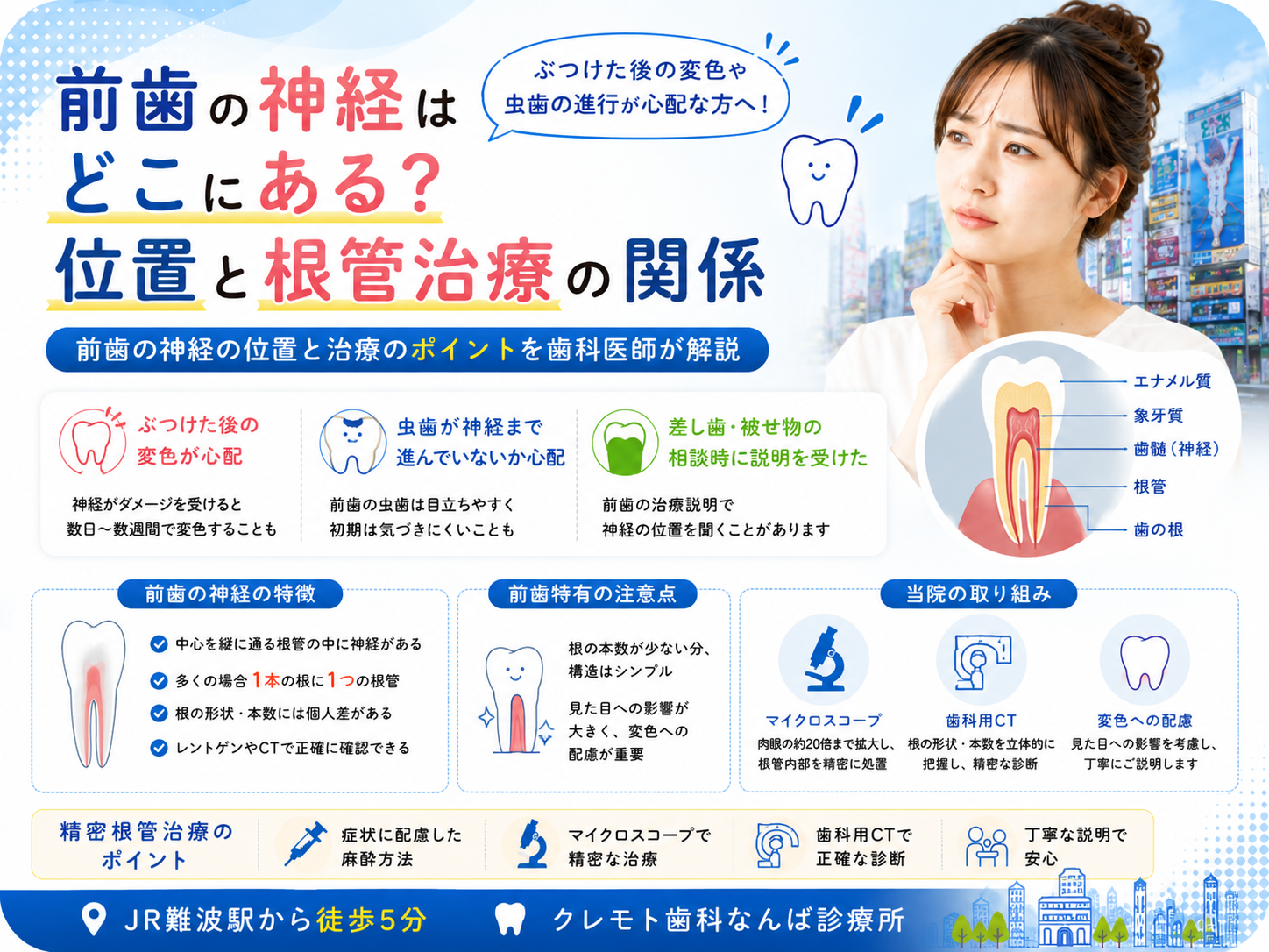 前歯の神経の位置と根管治療との関係を解説するイメージ画像